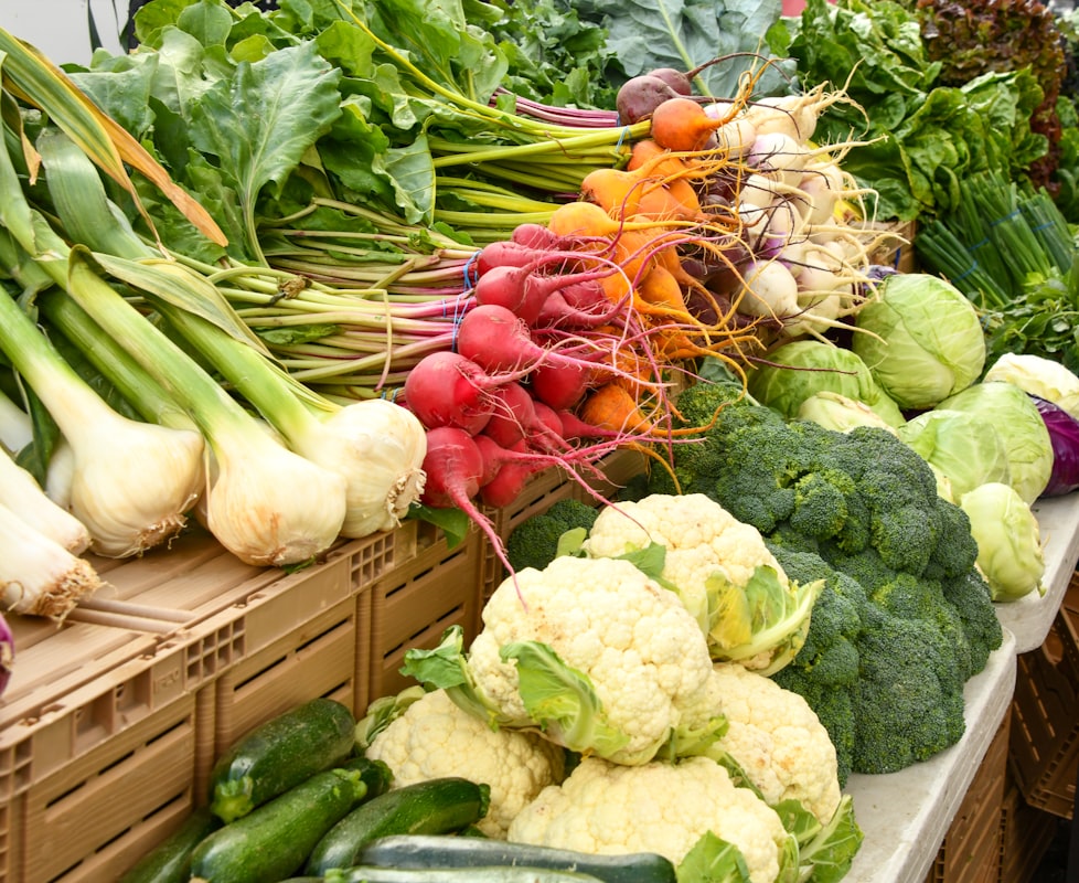 Nutrition science and wellness resources